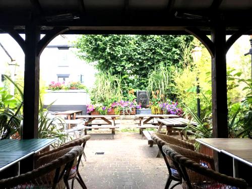 Cricketer7.jpg_1595532775