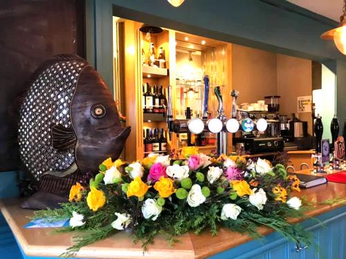 Cricketer4.jpg_1595532775